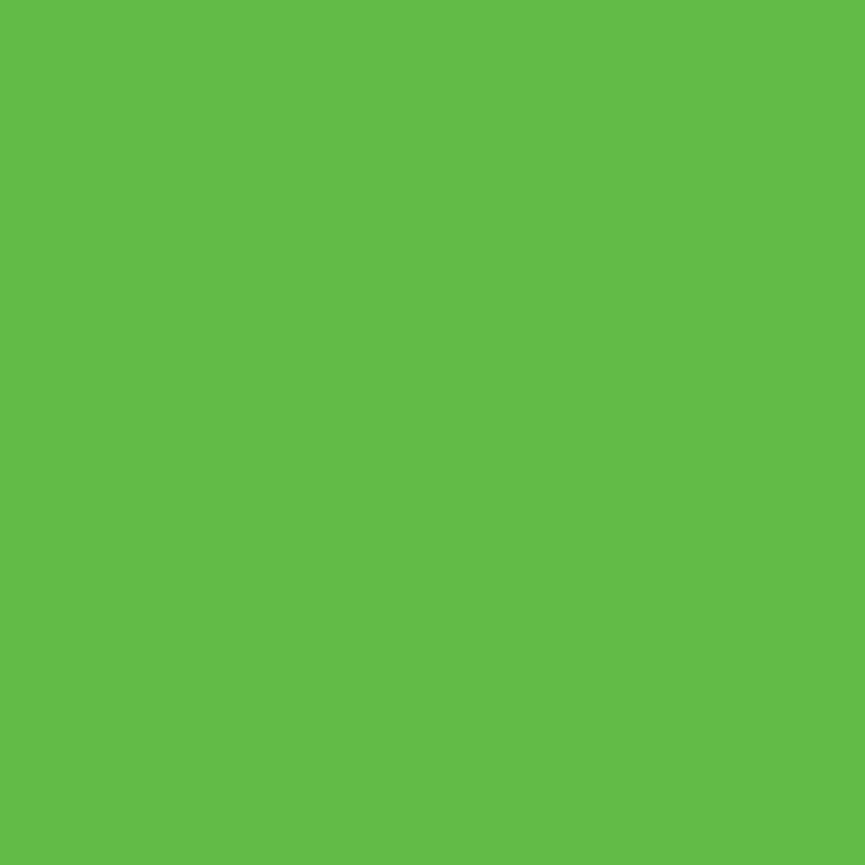 Fluorenscent Green